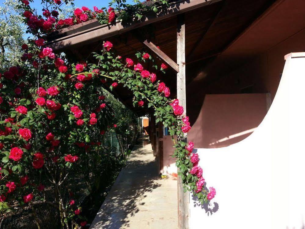 La Piccola Mole Bed & Breakfast Peschici Exterior photo